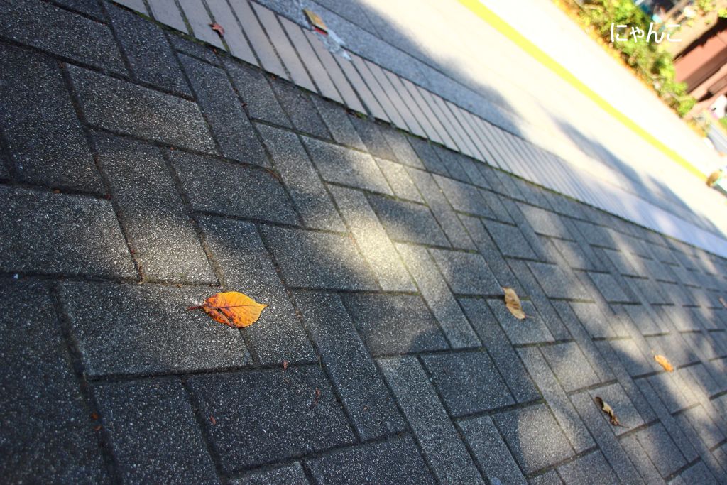 ～君が生まれた日に～