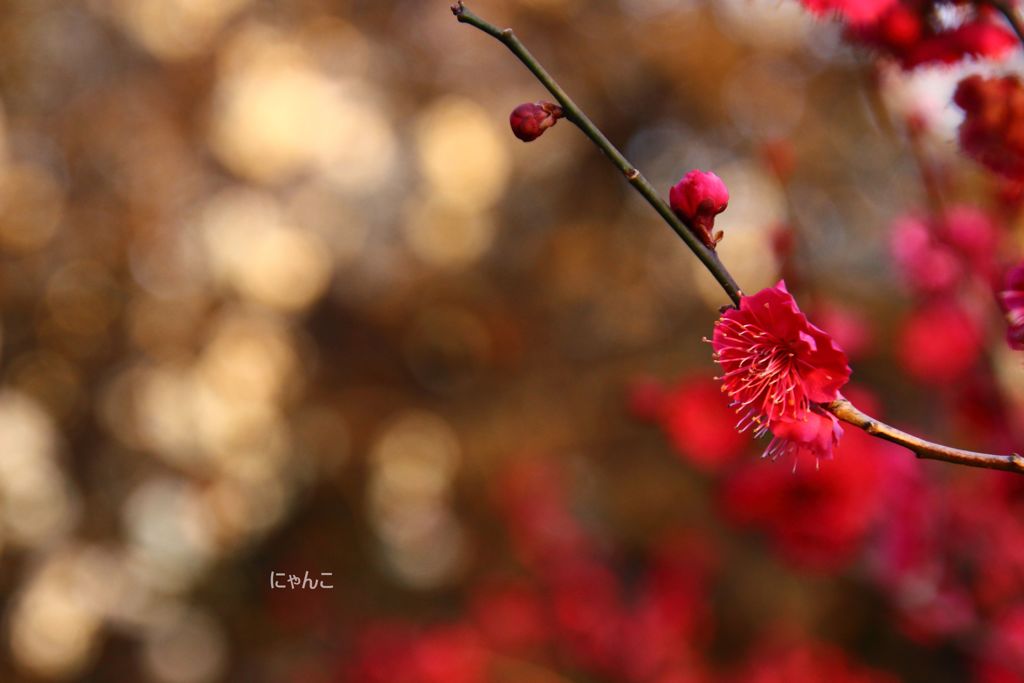 ～宴～