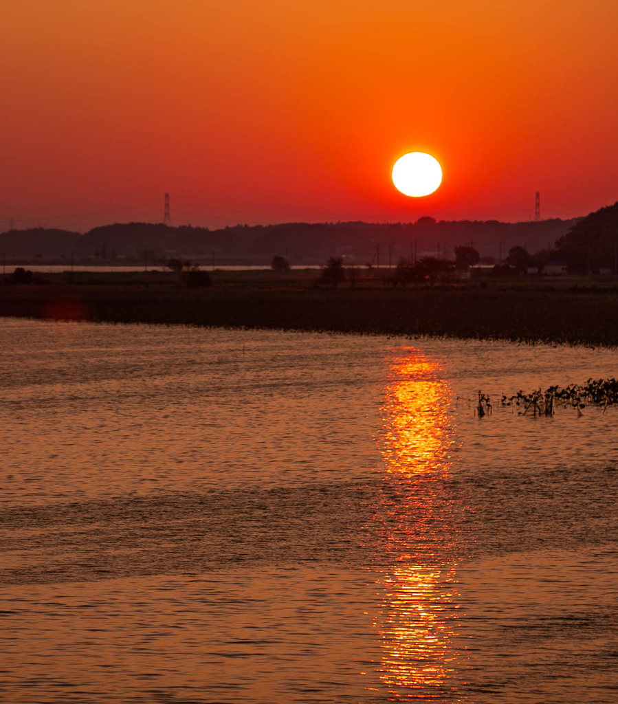 手賀沼の朝