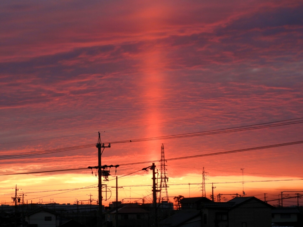 今朝の光道。