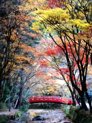 神社にて。