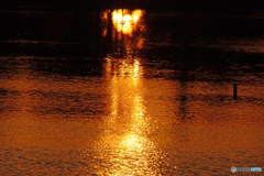 大池の夕焼け