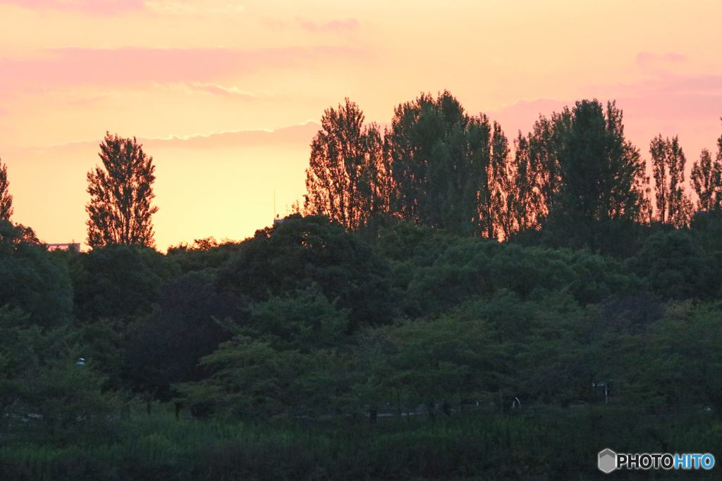 夕焼け