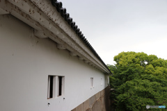 雨が・・・