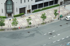 歩道も綺麗なぁ