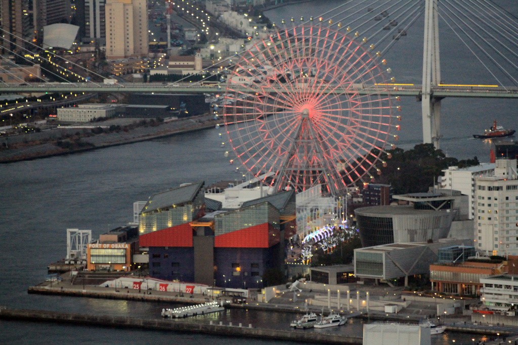 大観覧車と海遊館