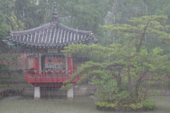土砂降り