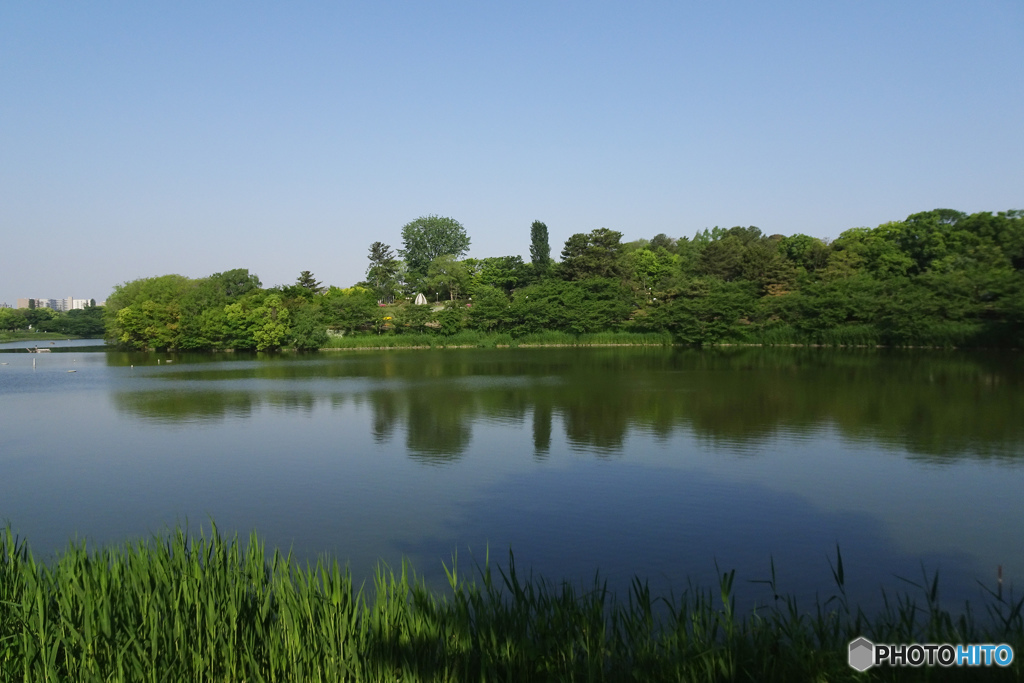 朝は気持ちがいい～