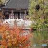 大池と紅葉