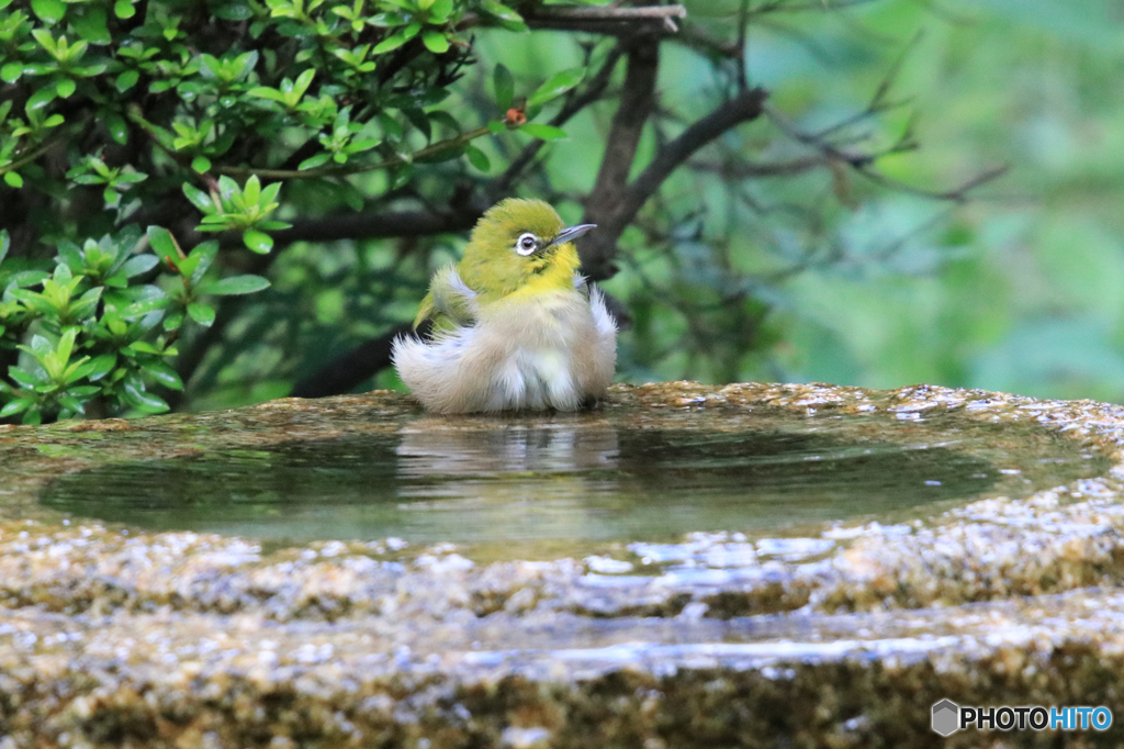 可愛いね