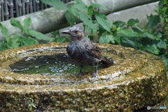 気持ちよかったぁ～