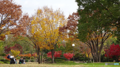 親子で　紅葉狩り