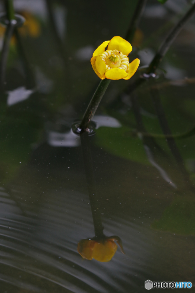 水模様