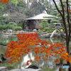 慶沢園の紅葉