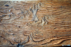 床机の木目