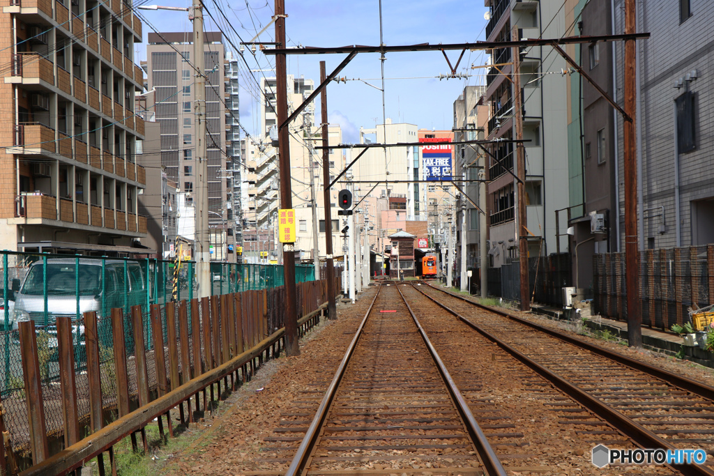 一度撮ってみたかった