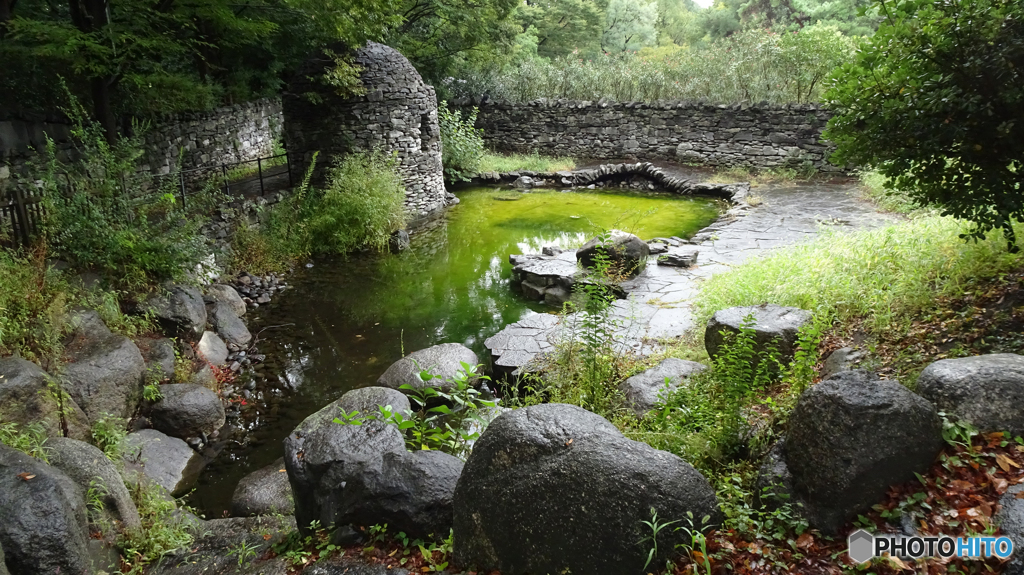 アイルランド庭園