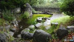 アイルランド庭園