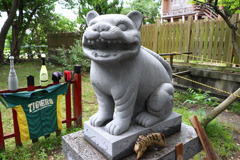 狛虎