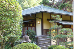 茶室　むらさき亭