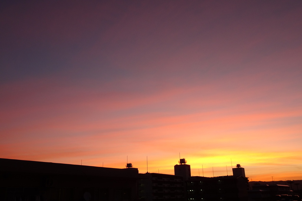 久々の涼しい朝