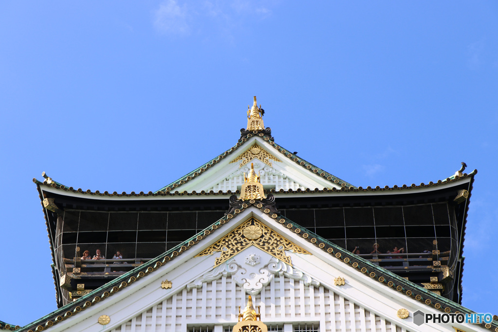 鯱