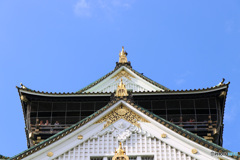 鯱