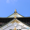 鯱
