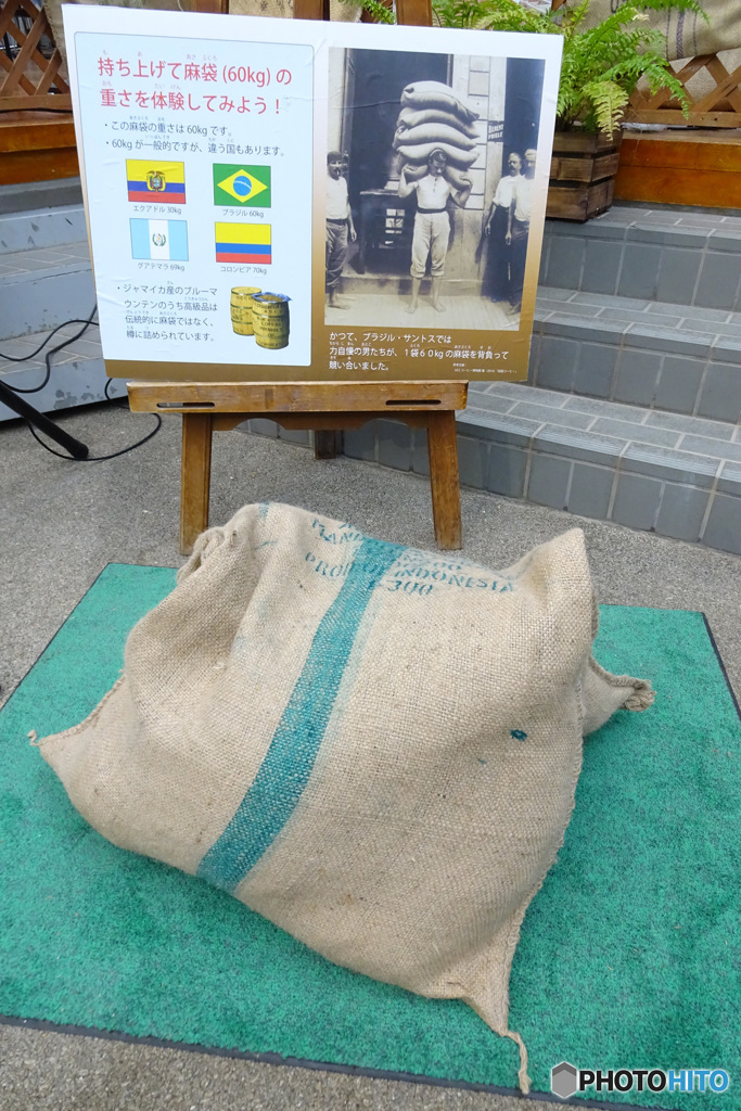 びくともしなかった