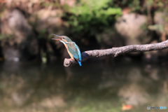 飲み込んだ