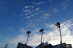 秋空