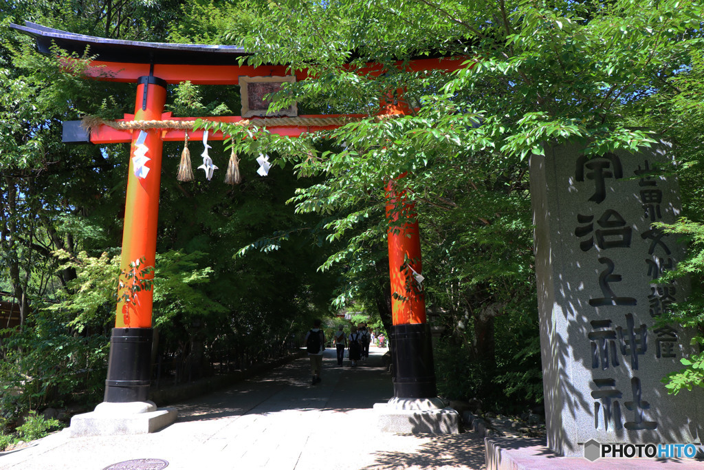 宇治上神社　鳥居