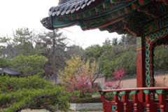韓国庭園２