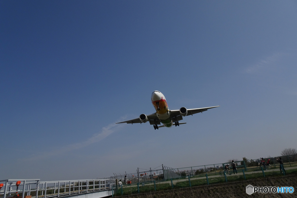 ＡＮＡ機　オリンピック2020