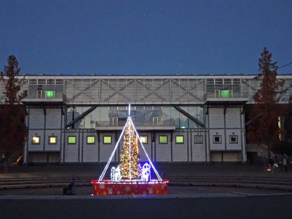 生き生き地球館とツリー
