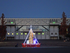 生き生き地球館とツリー