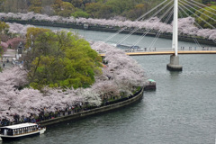 桜の宮公園を上から