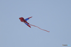 スパイダーマン