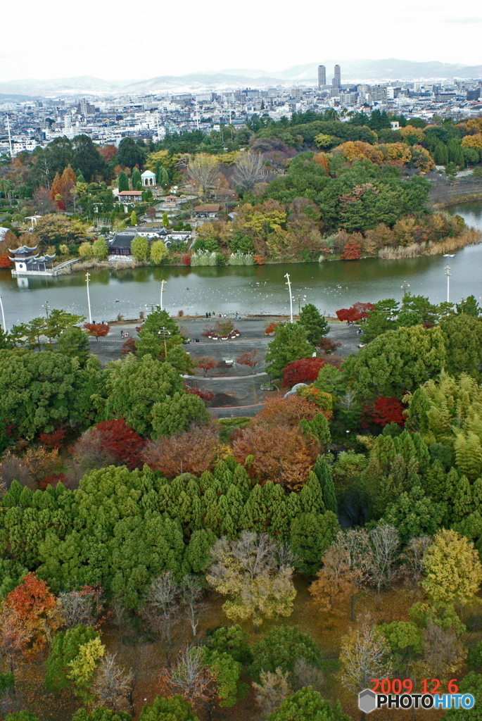 花桟敷と国際庭園