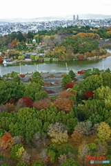 花桟敷と国際庭園