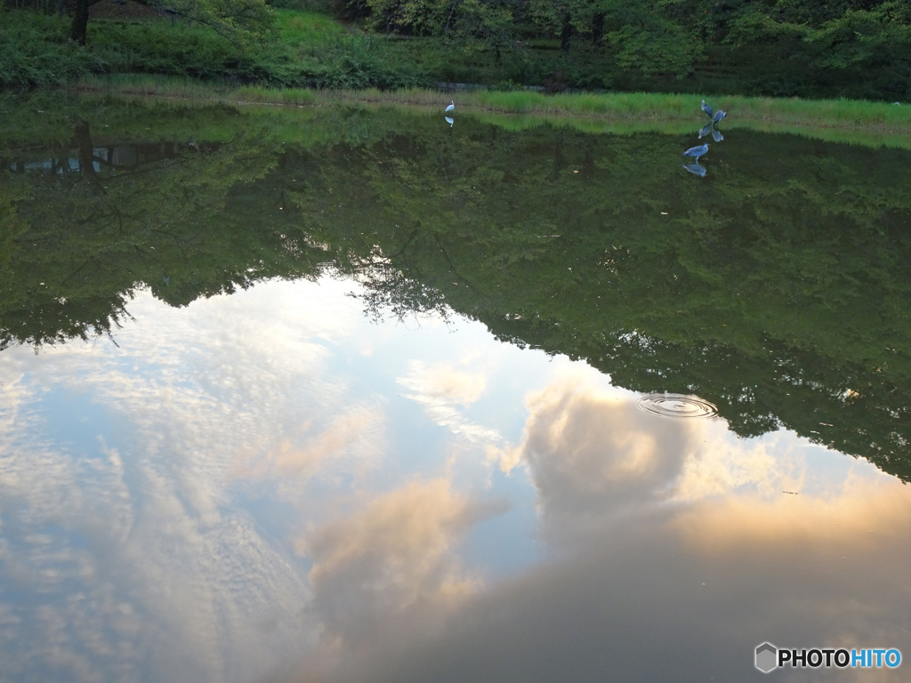 小池