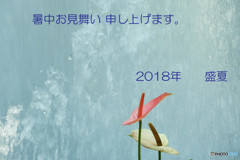 暑中お見舞い申し上げます