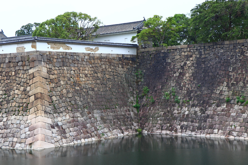 傷跡