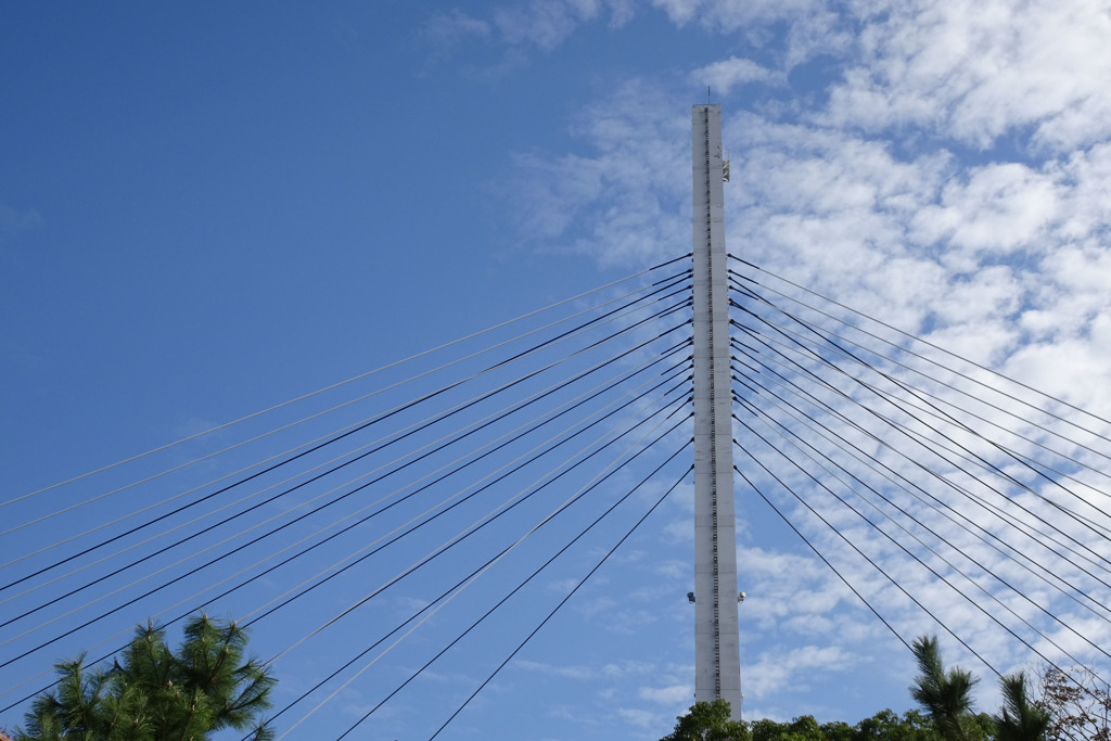 天保山大橋　橋脚（南側）