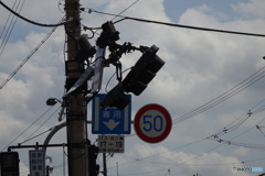 信号機も
