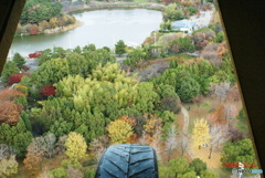 大池東方面