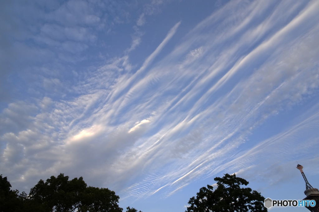 秋の空
