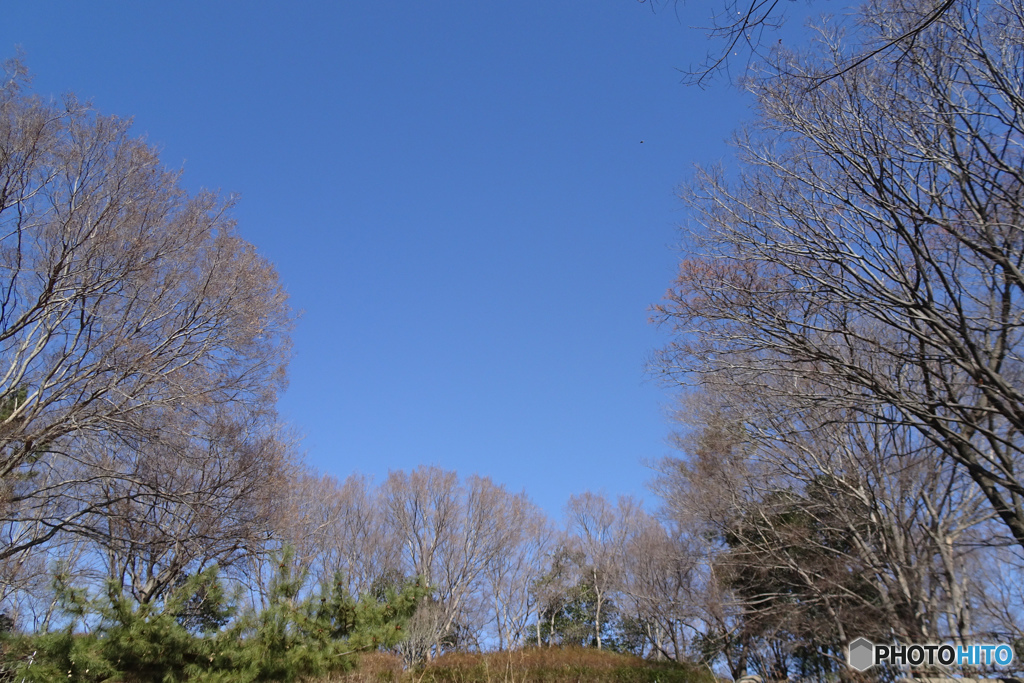 青空
