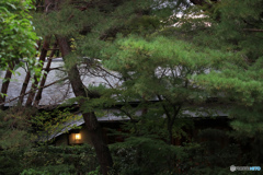 雨の茶室