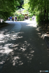 参道